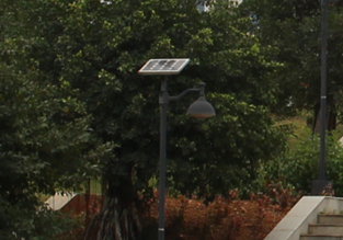 【案例】校園太陽能庭院燈照明工程